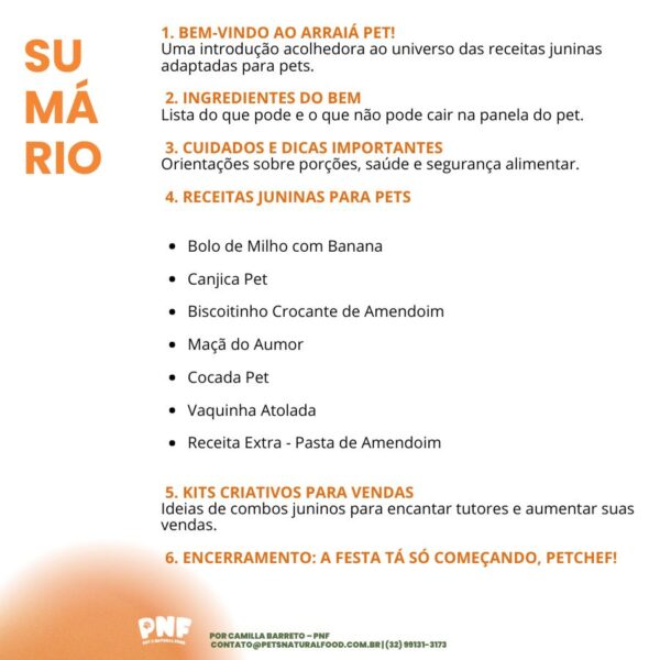 Ebook Arraiá Pet PNF - Imagem 3