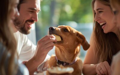 Criando memórias inesquecíveis com nossos pets